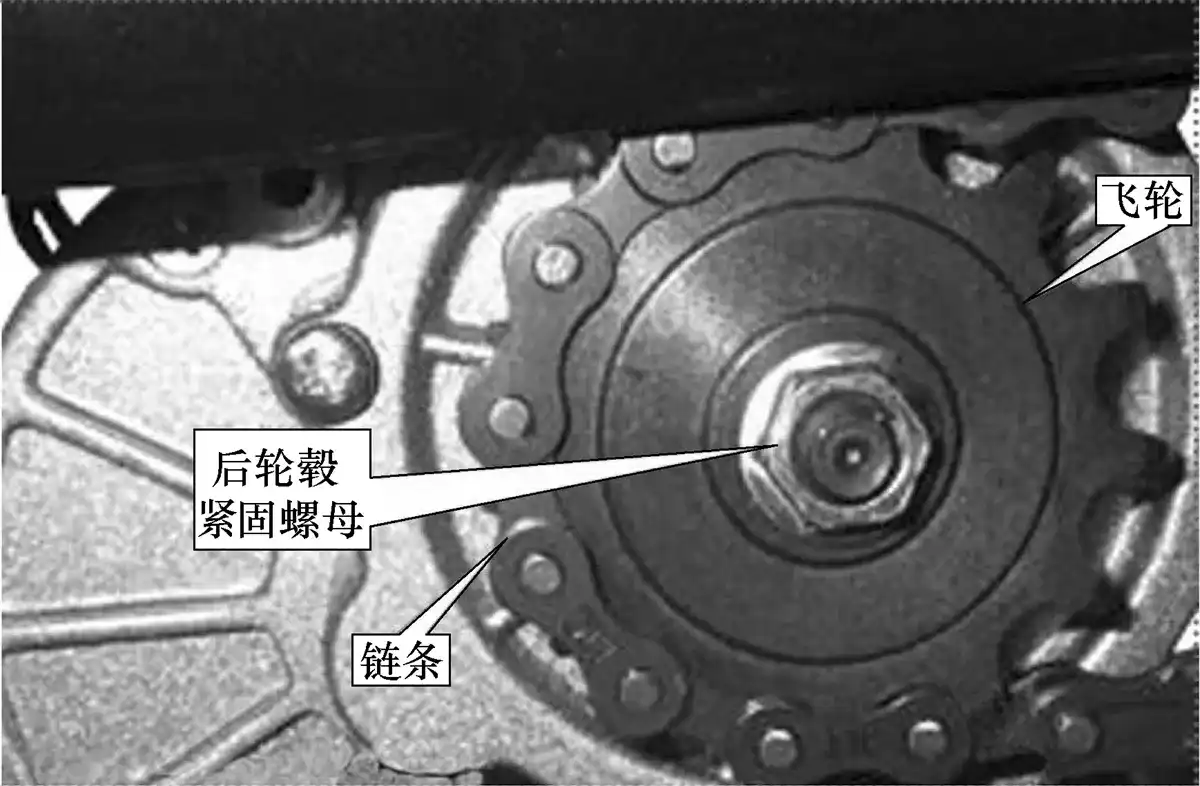 电动自行车飞轮